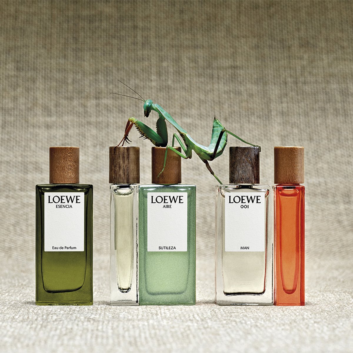 Qoo10] Loewe ロエベ パフューム ミニチュアセット 7